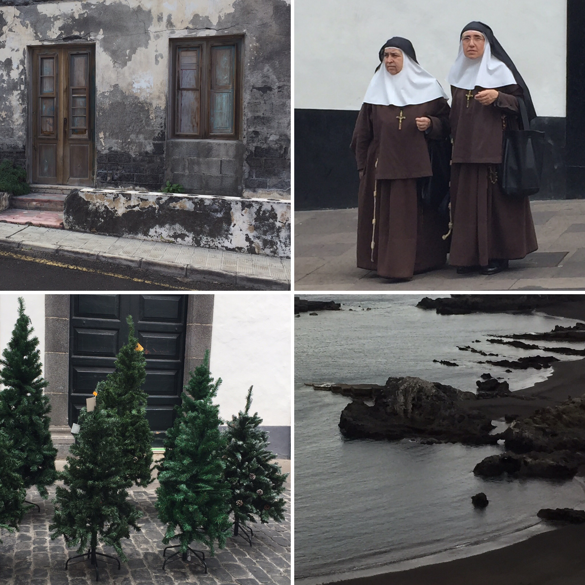 nuns and christmas trees